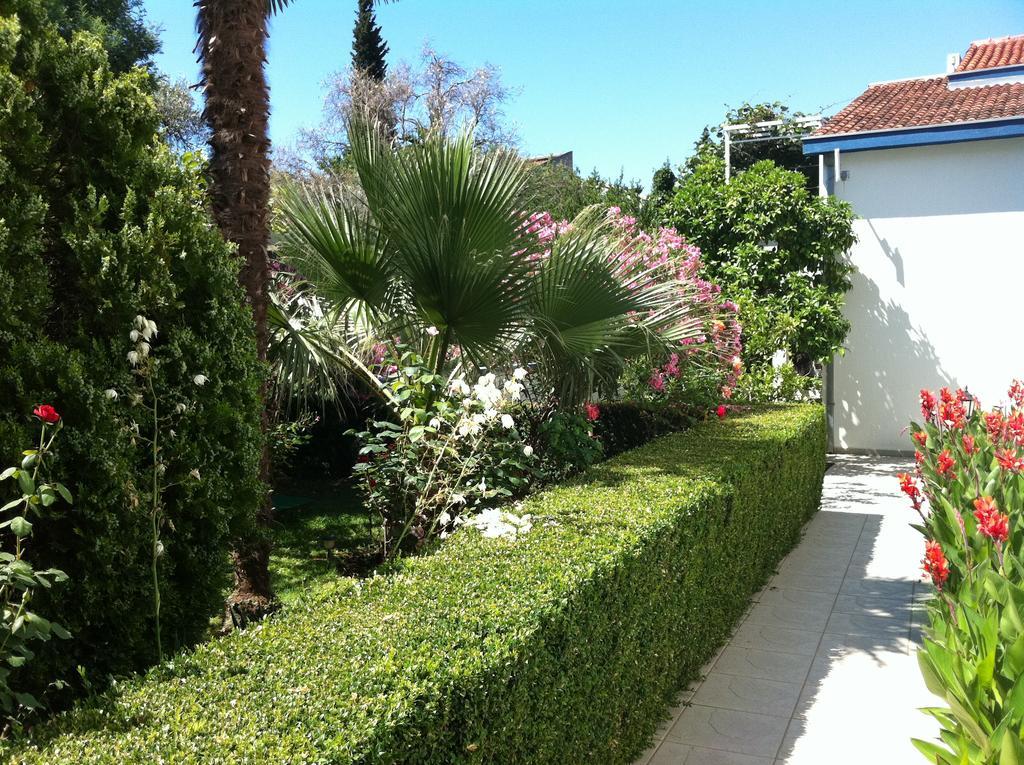 Apartments Becici Budva Exterior foto
